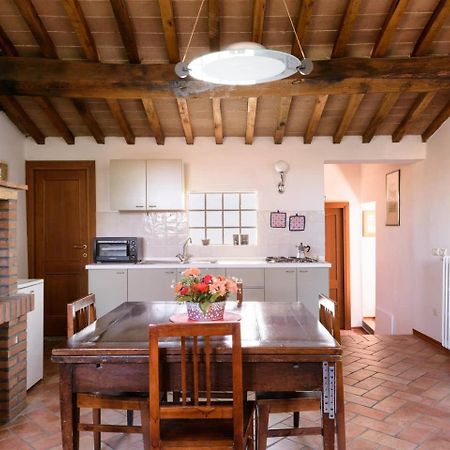 Apartament Domus Claudiae Sansepolcro Zewnętrze zdjęcie